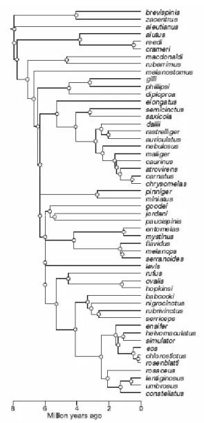 圖 4.4  摘自 Pavoine et al. ( 2009 )論文中的 Figure 4。 