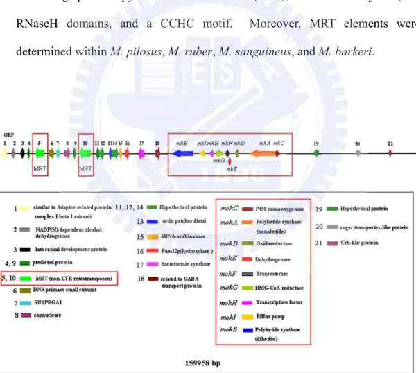 Figure 10. Annotation of BAC DNA mps01 predicted by BLAST and VectorNTI. 