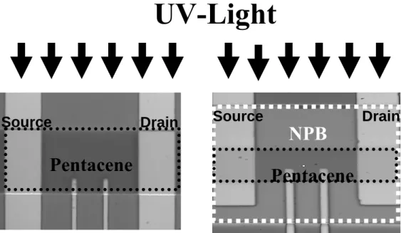 Fig. 3-3      The image of UV illumination experiments. 