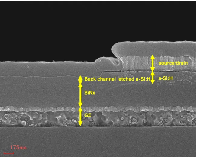 Figure 2.2: The SEM image.