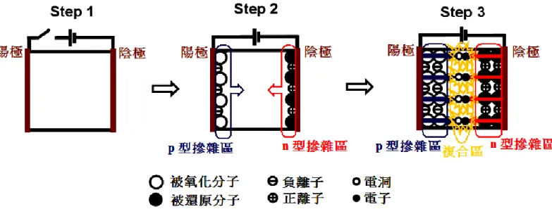 圖 13  電化學架構(Electrochemical model)示意圖  2-3-2 電動力學架構(Electrodynamic model)          當我們施加驅動電壓於 LEC 元件時，有機發光層中混入的鹽類解離 出正負離子，漂移至陰陽極處並且累積，正負離子會持續漂移累積直到整 個發光層區域內達到一穩定的狀態，形成一個自由場區，意思是指在該區 域內正負離子互相補償成電中性，而在陰陽極處累積的正負離子將使該區 域電場提升，因此在發光層和電極的交界處，電位能將會下降幫助電子電 洞更容易注入發光