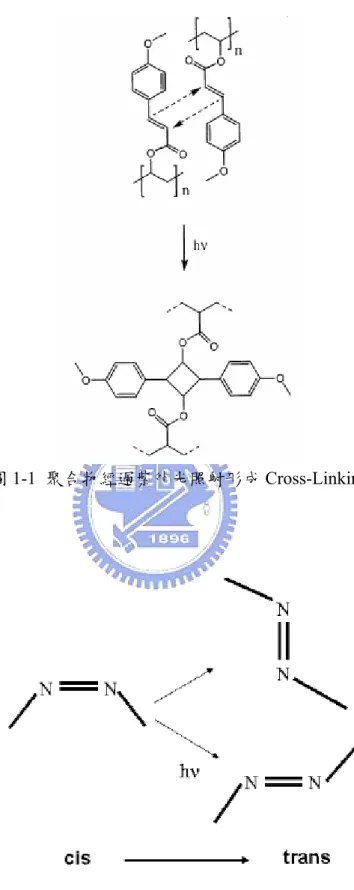 圖 1-1  聚合物經過紫外光照射形成 Cross-Linking 