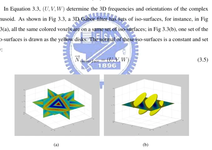 Figure 3.3: (a) A slice view of a 3D Gabor filter. (b) An iso-surface view of a 3D Gabor filter.