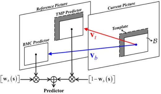 Figure 1.1: Joint application of TMP and BMC.
