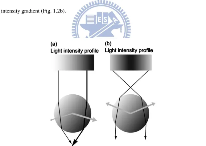Fig.  1.1  Ray  diagram  shows  difference  of  the  direction  of  gradient  force  (gray  arrows)  induced by unfocused (a) and focused (b) light