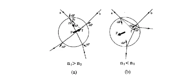 Fig.  1.2  Schematic  drawing  of  the  relationship  between  refractive  indices  of  particle  (n 1 )  and medium (n 2 ) and the direction of gradient force (F)