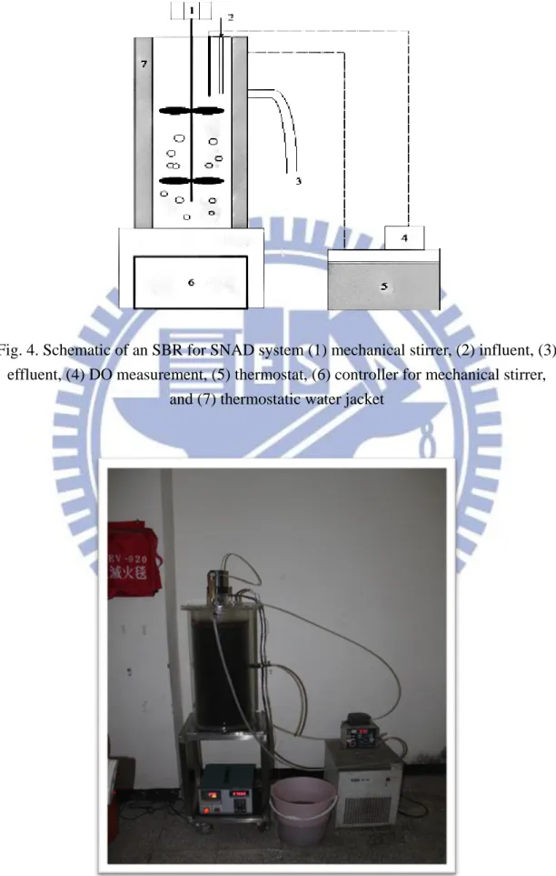 Fig. 4. Schematic of an SBR for SNAD system (1) mechanical stirrer, (2) influent, (3)  effluent, (4) DO measurement, (5) thermostat, (6) controller for mechanical stirrer, 