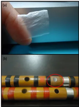Figure  2:  (a)  The  flute  diaphragm,  (b)  The  position  to 