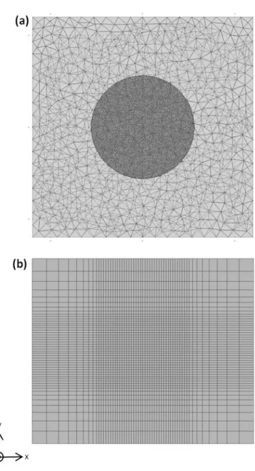 Figure 2.3: Top view of the meshes. (a) The mesh is generated randomly by COMSOL multi- multi-physics package with 219,009 mesh points