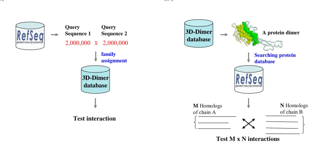 Figure 2. The comparison of our and previous methods. (A) The previous method takes family assignment for 2 query proteins and fits the two  proteins on the complex of known structure