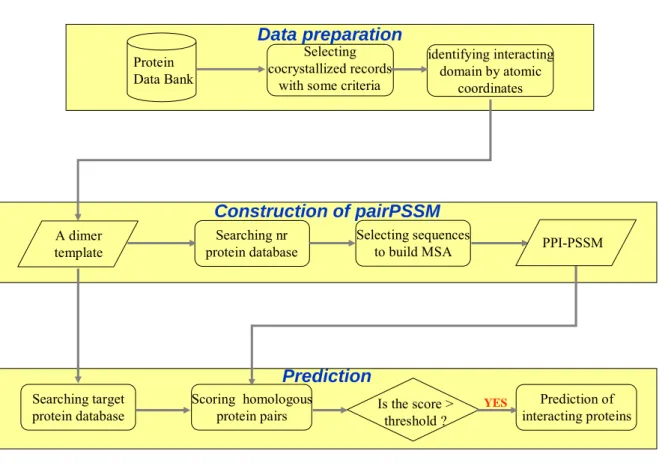 Figure 3. The flow chart of our method. In this study, we first collect dimers of known structure  from Protein Databank and identity interacting domains