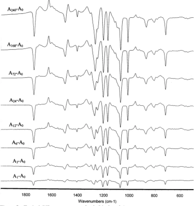 Figure 5    Typical difference spectra of poly(bisphenol-A 