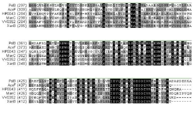 Fig. 1.6.6 Amino acid sequence alignment of GDP-Man PPase /PMIs 