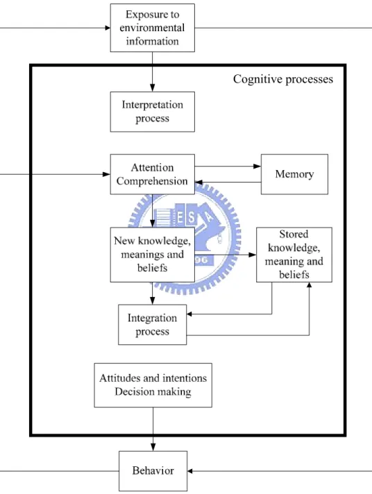 Figure 2.3 Cognitive Processes in Consumer Decision Making 