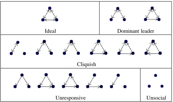 Figure 1. Small- group interaction patterns. 
