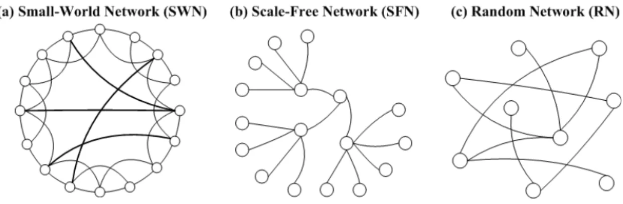 Figure 2.4. Three types of complex networks. 