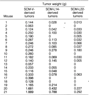 Table 4. Tumorigenesis of LMPl-Expressing TMC1 Cells (TMC-Ll and -L4) and Vector-Transfected Cells (TMC-V)