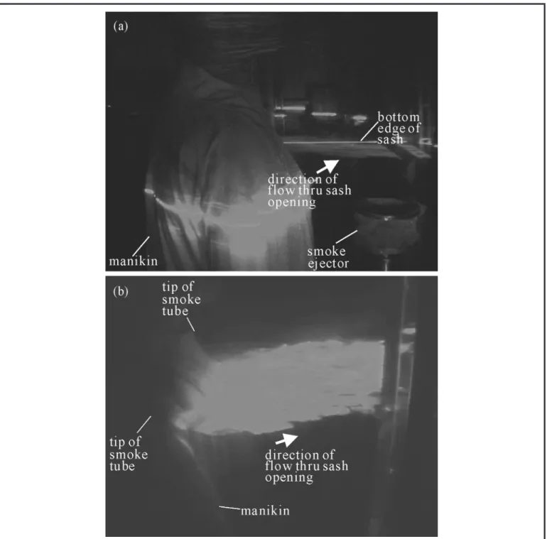 FIGURE 6. Smoke patterns in front of chest of manikin. Smoke released from (a) smoke ejector placed in cabinet, (b) chest side of manikin.