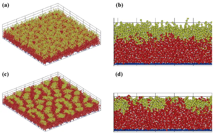 Figure 2. Simulated surface structures of rod-coil block copolymer brushes with the parameters of F S ) 0.7, n A ) 5, n B ) 20, a BS ) 26, and a AB ) 40: (a) top view (for a AS ) 26); (b) side view (for a AS ) 26); (c) top view (for a AS ) 40); and (d) sid