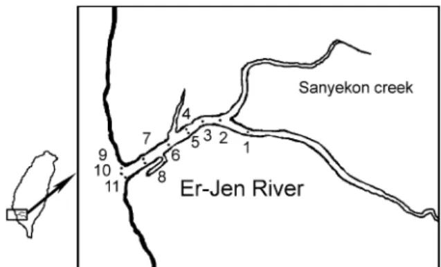 Fig. 1. The schematic diagram of the sampling sites in the Er-Jen Estuary.