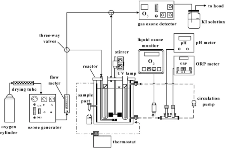 Fig. 2. The experimental apparatus sketch: (—) ozone gas stream, (– –) experimental solution, and (– - –) isothermal water.