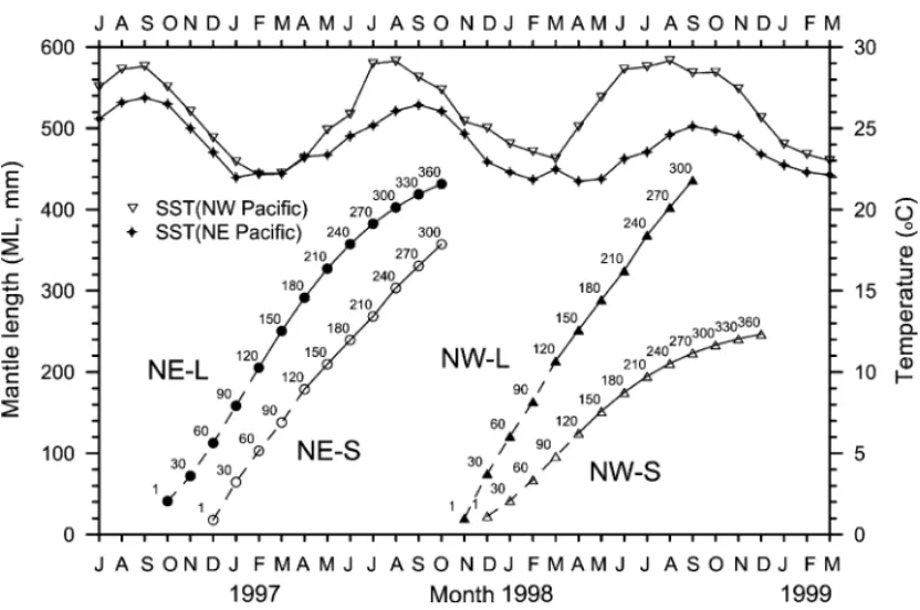 Fig. 10. Growth patterns of female O. bartramii cohorts (dashed line, paralarvae/juvenile stages; straight line, subadult/adult stages), and SST ( ◦ C) in estimated hatching site in the North Pacific (open square, NW SST, filled square, NE SST).