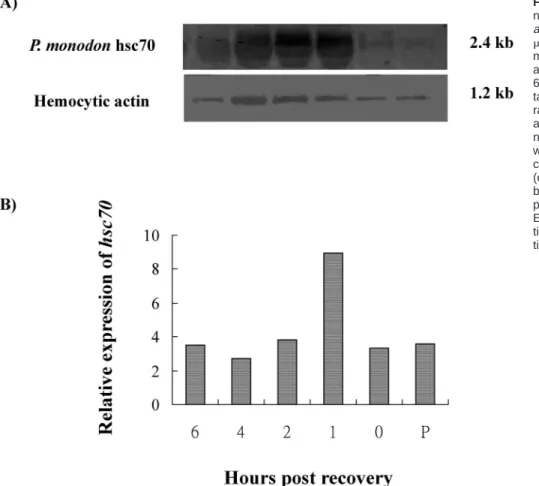 Fig 7. Northern blot analysis of ribo- ribo-nucleic acid (RNA) extracted from  Pen-aeus monodon hemocytes