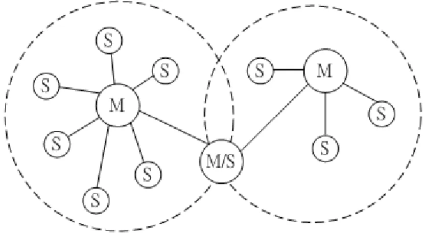 Figure 2.9: BlueTooth Scatter net Network Topology 