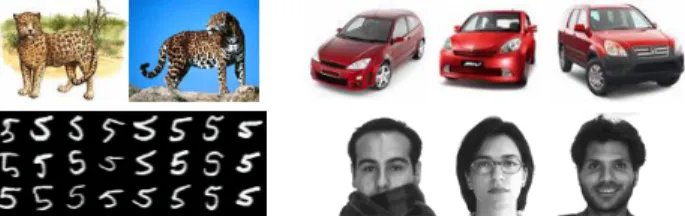 Figure 1. Examples from 4 different object categories: jaguar, red car, handwritten digit, and human face
