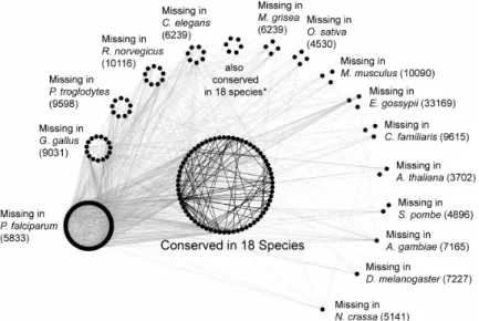 Figure 4. Interaction networks among 397 orthologs groups conserved in 17 and 18 species