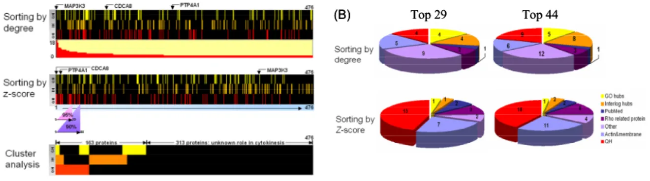Figure 5. (A) Distributions of midbody hubs sorted by degree, z-score and cluster analysis