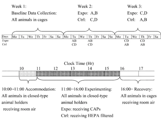 Fig. 1. Schematic representation of the experimental procedure. Upper panel shows the experimental designs for data collection