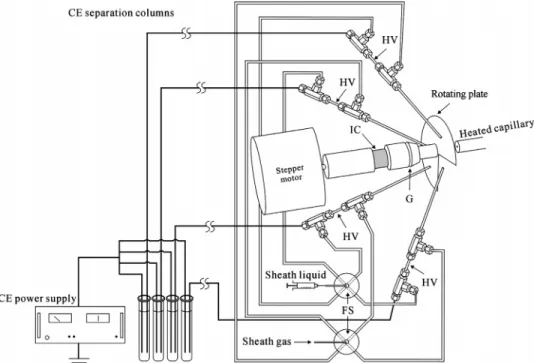 Figure 1. Schematic representation of the multi-CE/ESI-MS interface. HV, ESI high voltage contact; IC, insulating connector; FS, flow splitter;