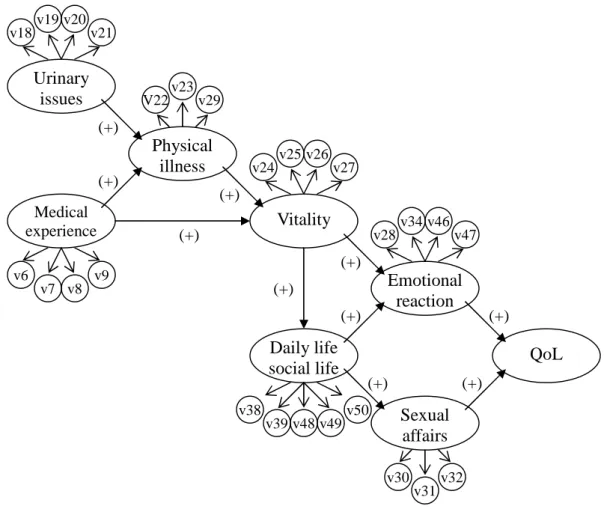 Figure 1 Structure equation model (SEM) for pathway to Quality of Life (QoL) in prostate cancer patients.QoLEmotionalreactionv28v34 v46v47Vitalityv24v25 v26v27Medicalexperiencev6v7 v8v9Urinaryissuesv18v19 v20v21PhysicalillnessV22v23v29Daily lifesocial life