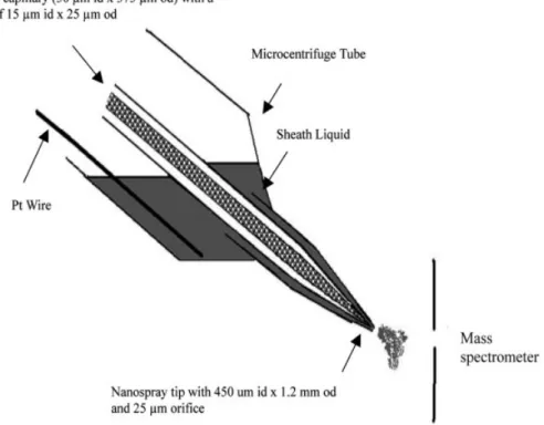 Figure 1. Schematic representation of the low-flow sheath liquid CEC/ESI-MS interface.