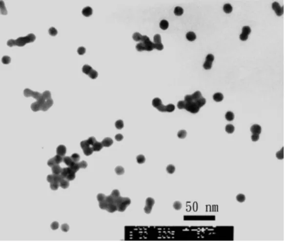 Fig. 4. Transmission electron micrograph of gold nanoparticles in aqueous phase.