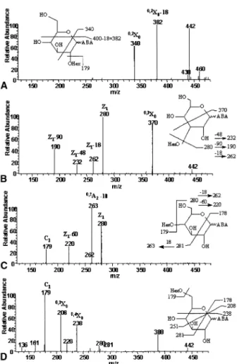 Figure 2. Negative ion ESI product ion mass spectra of ABA- ABA-labeled (A) Glc␤1–2Glc, (B) Glc␤1–3Glc, (C) Glc␤1–4Glc, and (D) Glc ␤1–6Glc