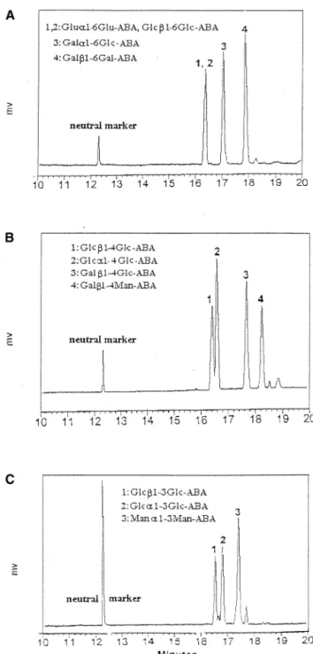 Figure 6. The CE/UV electropherogram of ABA-tagged (A) Glc␣1–6Glc, Glc␤1–6Glc, Gal␣1–6Glc, and Gal␤1–6Gal; (B) Glc␣1–4Glc, Glc␤1–4Glc, Gal␤1–4Glc, and Gal␤1–4Man; and (C) Glc ␣1–3Glc, Glc␤1–3Glc, and Man␣1–3Man