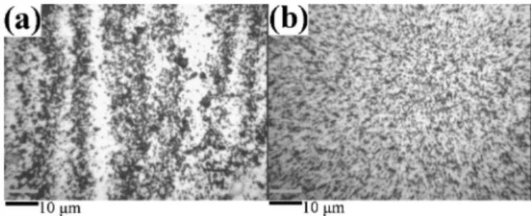 FIG. 2. Confocal images of the TPD:PMMA/ZnO nanoparticles thin film for the solvent of chloroform and toluene in the x-y plane: 共a兲 the surface and 共b兲 1000 nm below the surface.