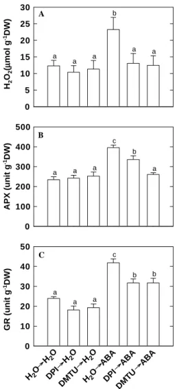 Figure 2. Changes in H 2 O 2 concentrations in roots of rice seedlings in the presence or absence of ABA