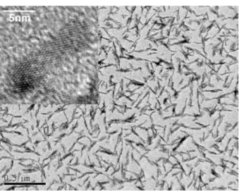 Figure 1. Anatase TiO 2 nanorod structure images observed by TEM and HRTEM (inset).
