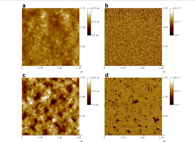 Figure 4. AFM images showing the surface morphology of an MEH-PPV :TiO 2 nanorod hybrid film and TiO 2 nanorod film