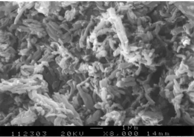 Fig. 4. Scanning electron micrograph showing the morphology of SZA/MCM-41 calcined at 700 ◦ C for 3 h