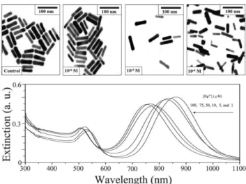 Fig. 4 TEM images obtained as a function of time for the as- as-prepared Au–Ag–Hg trimetallic NRs synthesized in the presence of 10 24 M Hg 2+ at pH 8.0.
