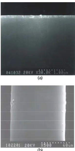 Figure 6: V/TiO 2 經400 o C-30min鍛燒之UV- C-30min鍛燒之UV-VIS吸收光譜，(a)TiO2、(b)V/Ti=0.01、 (c)V/Ti=0.02、(d)V/Ti=0.029、 (e)V/Ti=0.035、(f)V/Ti=0.052、(g)V2O5  (a) (b)  Figure 7: (a)F-HXXS-3%-R20鍍膜光纖斷面SEM圖；(b)鍍膜光纖SEM圖 