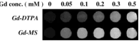 Figure 6. T 1 -weighted phantom MR image of Gd-DTPA, 2.3%Gd- 2.3%Gd-MS, and water (Gd concentration ) 0 mM) at 4.7 T Bruker by the conventional spin-echo method with TR/TE ) 300 ms/10.6 ms, FOV ) 7 cm, NEX ) 1; BW ) 100 000 Hz, slice thickness ) 2.00 mm, m