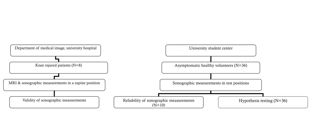 Figure 1. Study design and sequence of measurement, according to objectives.