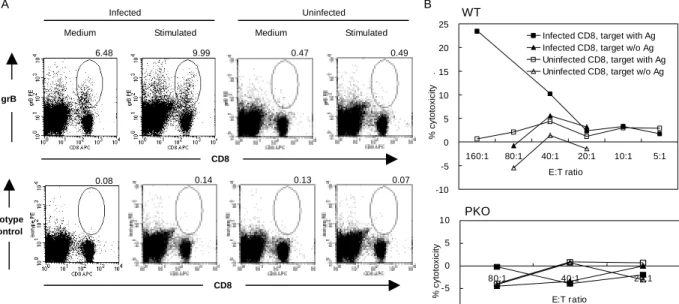 FIGURE 3.    CD8 T cells in Histoplasma-infected mice are cytotoxic. (A) Granzyme  B expression