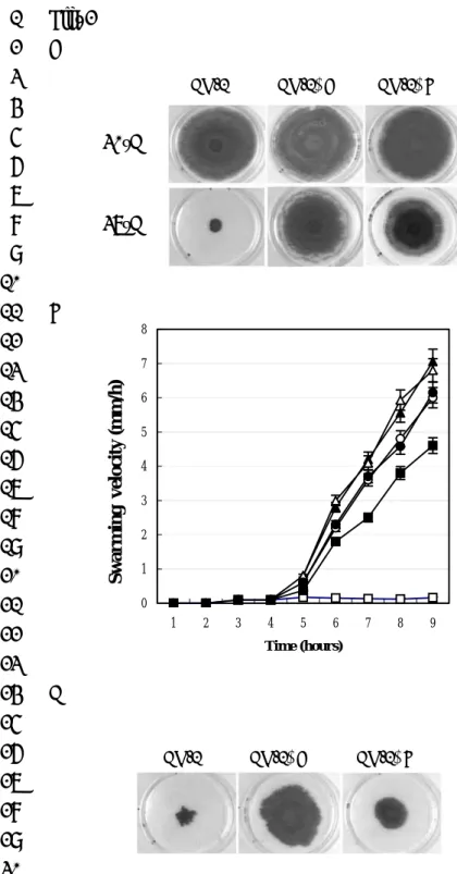 Fig. 2 1  A 2  3  4  5  6  7  8  9  10  B 11  12  13  14  15  16  17  18  19  20  21  22  23  C 24  25  26  27  28  29  30  012345678 1 2 3 4 5 6 7 8 9Time (hours)Swarming  velocity (mm/h)CH-1 CH-1∆A CH-1∆B  CH-1 CH-1∆A CH-1∆B 30°C 37°C 