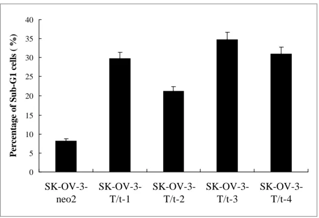 Fig. 3  T/t-common-expressing SK-OV-3 clones underwent apoptosis under low  serum condition